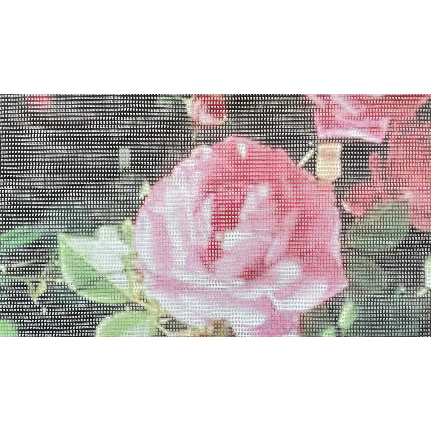 Baner ogrodowy Fototapeta zewnętrzna Róże (82780001)