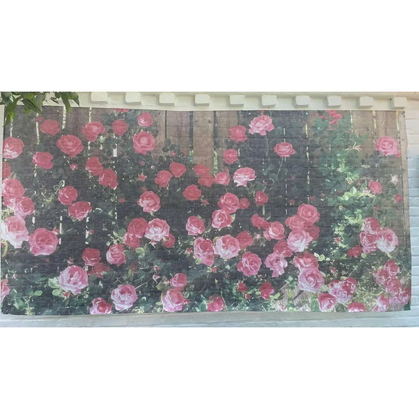 Baner ogrodowy Fototapeta zewnętrzna Róże (82780001)