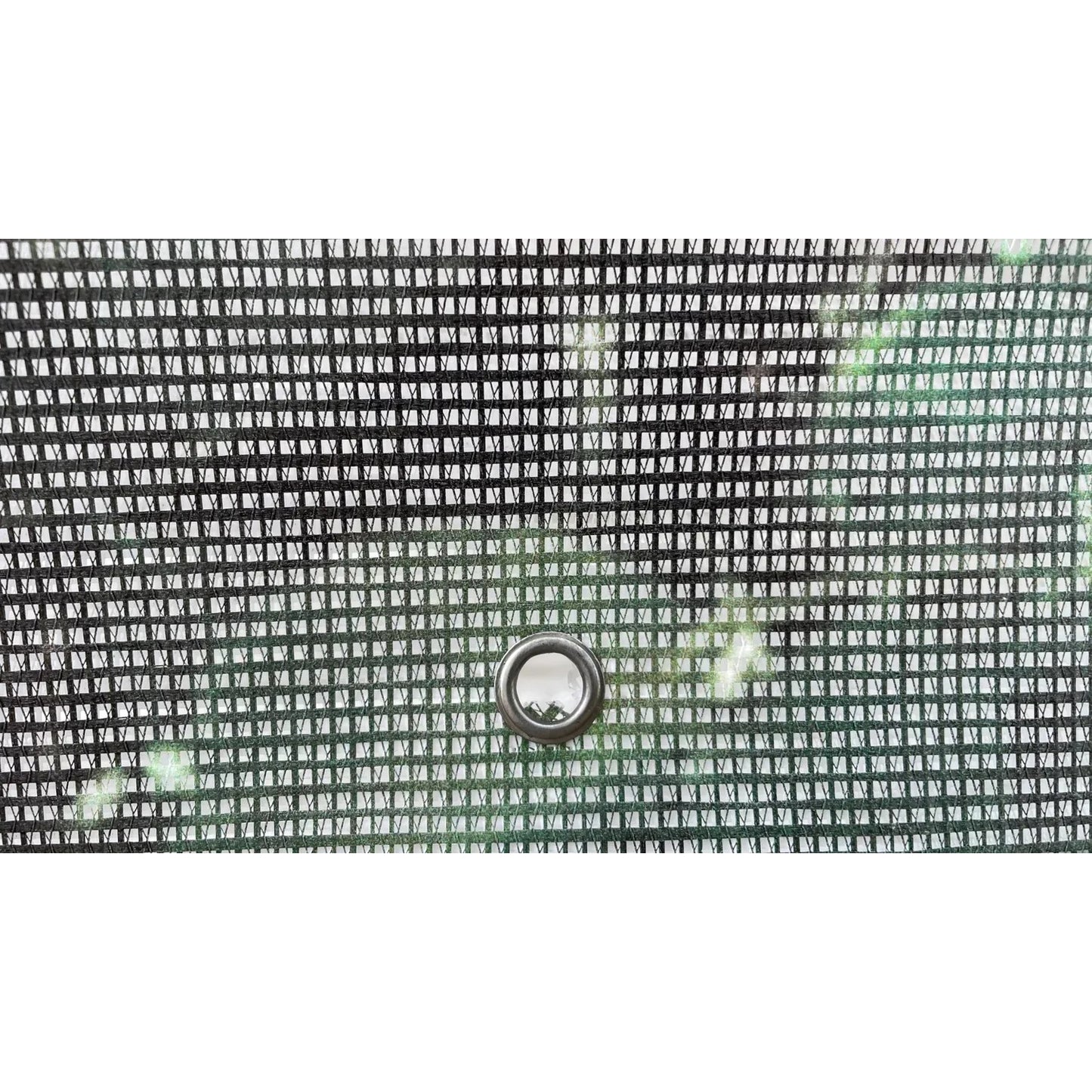 Baner ogrodowy Fototapeta zewnętrzna Róże (82780001)