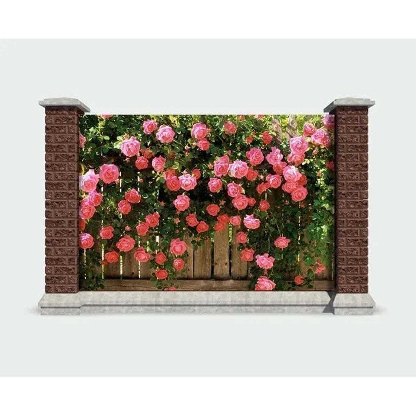 Baner ogrodowy Fototapeta zewnętrzna Róże (82780001)